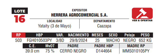 Lote LOTE 16 - DE CAMPO