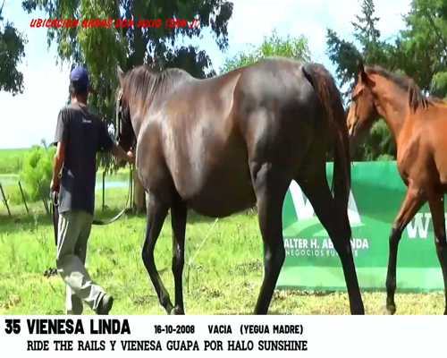 Lote VIENESA LINDA
