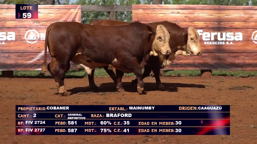 Lote COBANER SA  LOTE 59