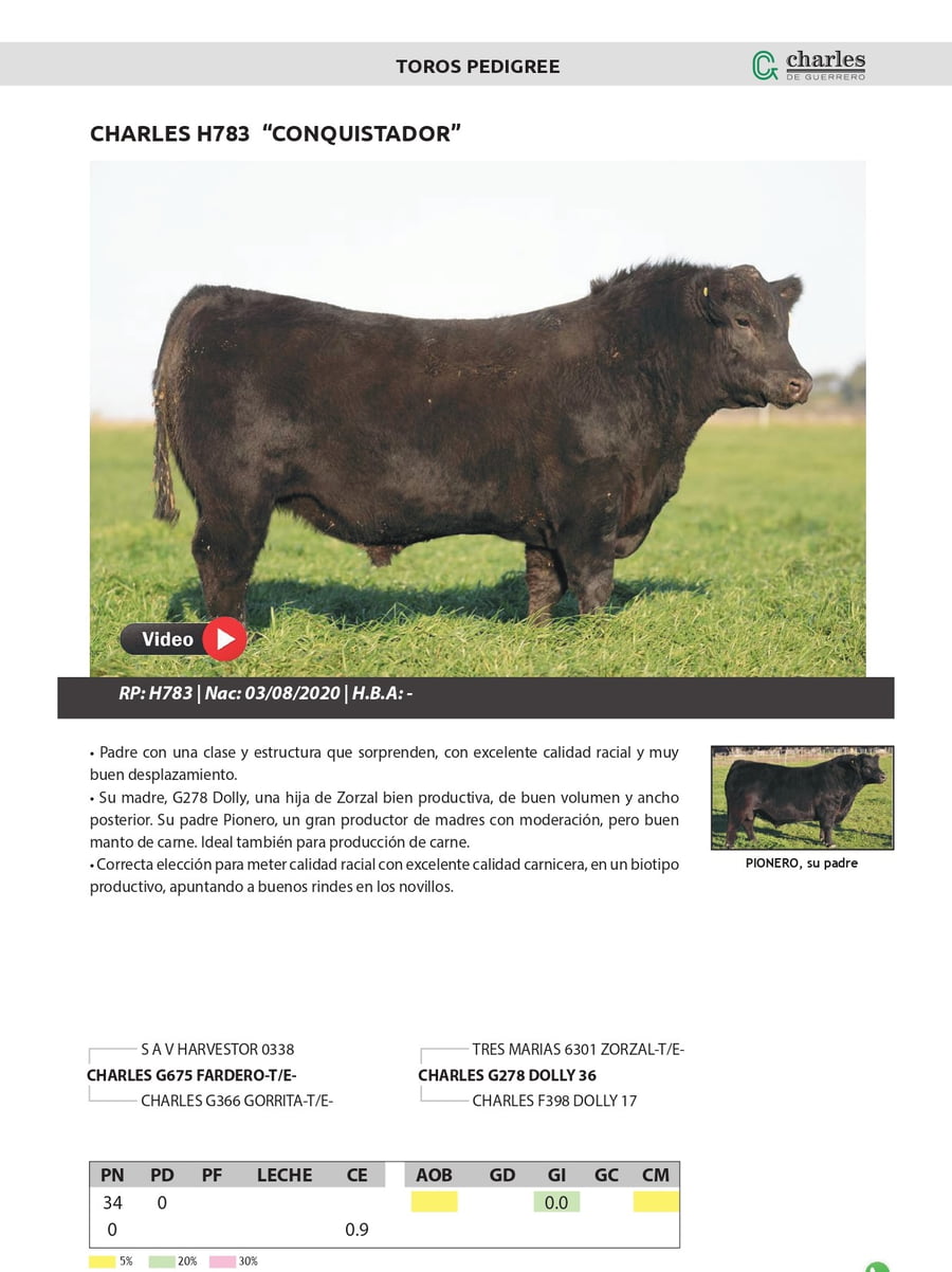 Lote TOROS PEDIGREE