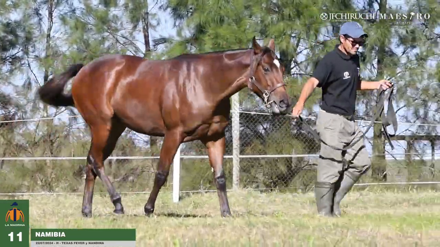 Lote Namibia