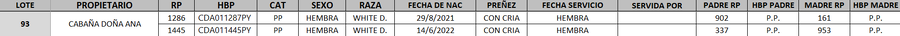Lote LOTE 93