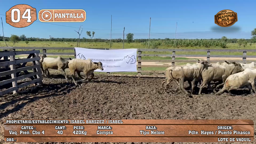 Lote LOTE 4 - POR PANTALLA