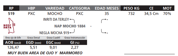 Lote LOTE 62