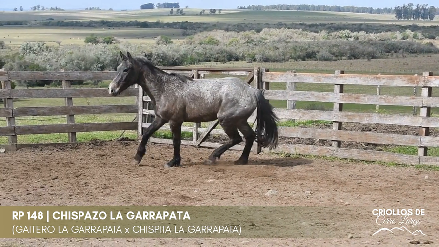 Lote CHISPAZO LA GARRAPATA