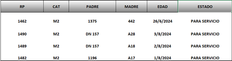 Lote LOTE 42