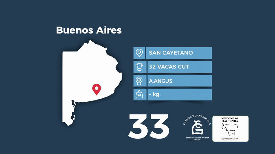 Lote 32 Vacas CUT preñadas en Buenos Aires, San Cayetano