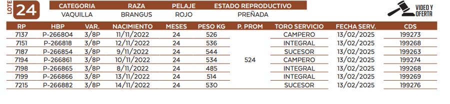 Lote LOTE 24