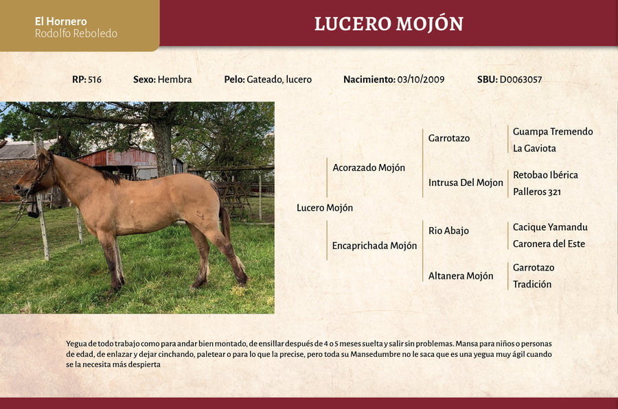 Lote Lucero Mojon (RP 516) - Cabaña "El Hornero"