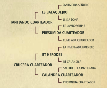 Lote Alaja cuarteador