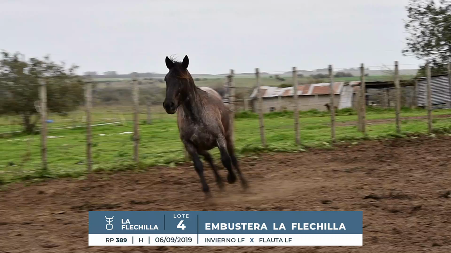 Lote EMBUSTERA LA FLECHILLA