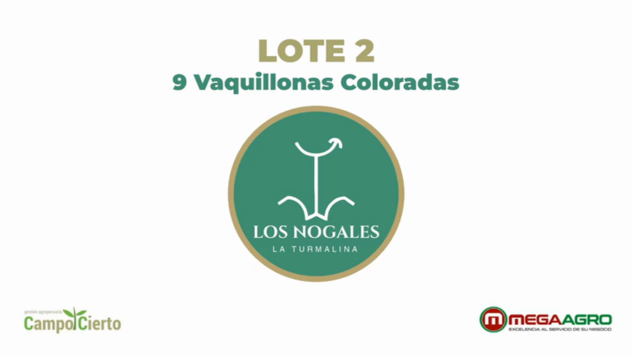 Lote LOS NOGALES
