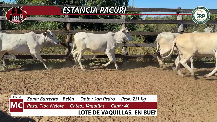 Lote Estancia Pacuri