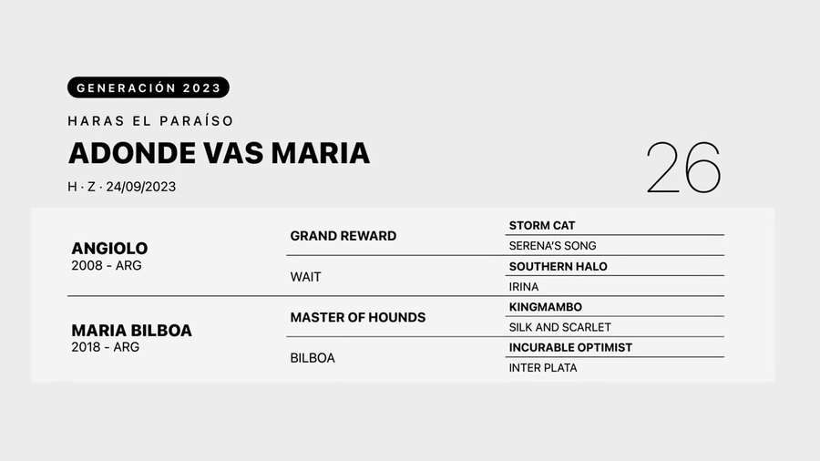 Lote ADONDE VAS MARIA