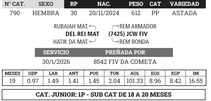 Lote LOTE 6 - BOZAL