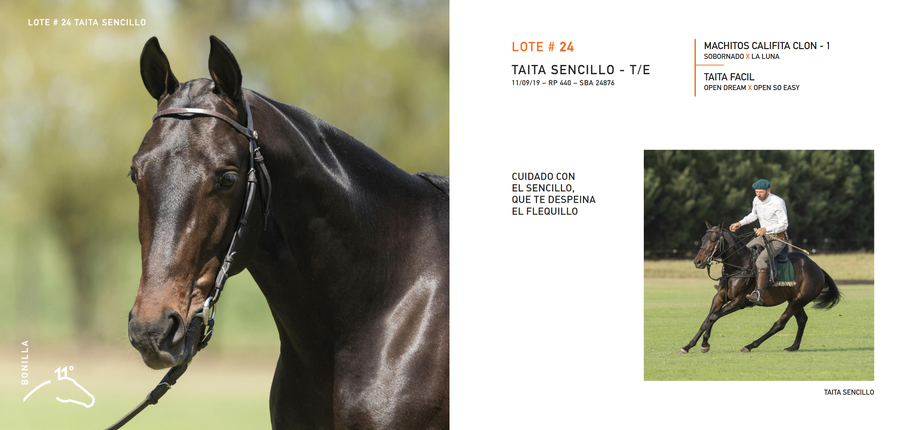 Lote TAITA SENCILLO - T/E (MACHITOS CALIFITA CLON - 1 - TAITA FACIL)