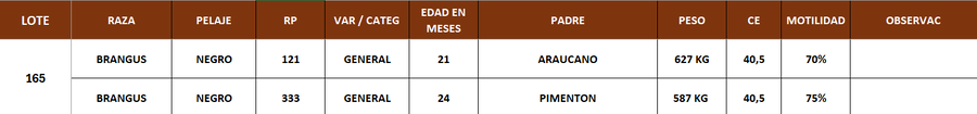 Lote LOTE 165