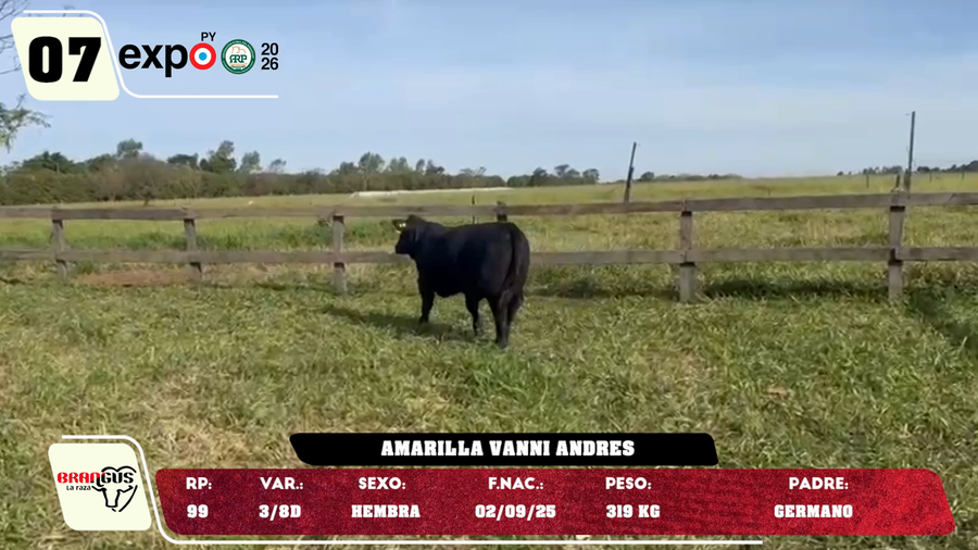 Lote LOTE 7