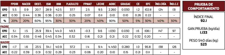 Lote CIPA CEBOLLATI TRIBUNERO 6462