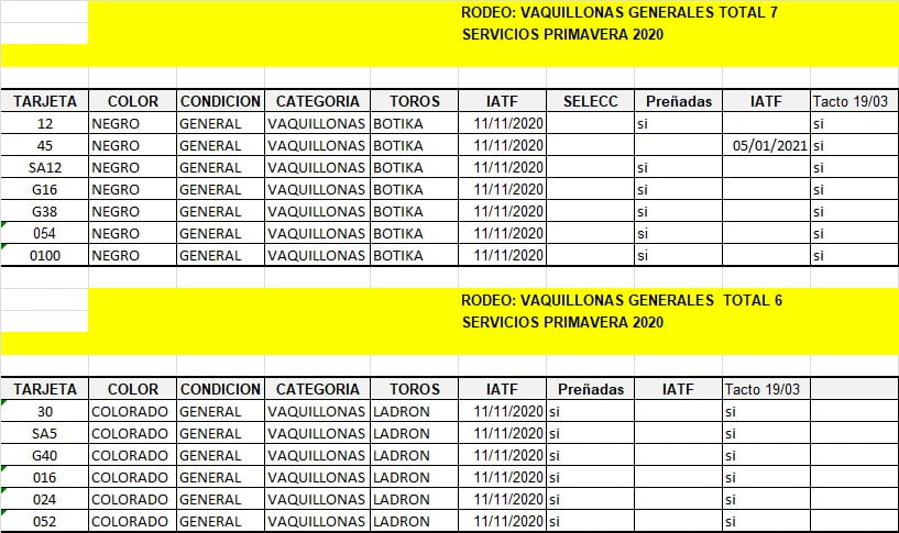 Lote Vaquillonas Angus Generales Preñadas, en Olavarria, PBA.-