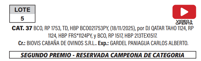 Lote LOTE 5