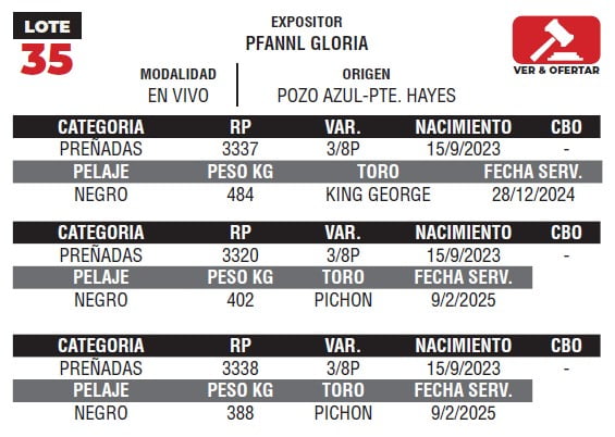 Lote LOTE 35- EN VIVO