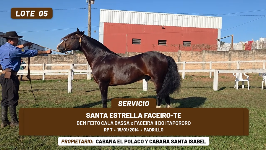 Lote LOTE 5