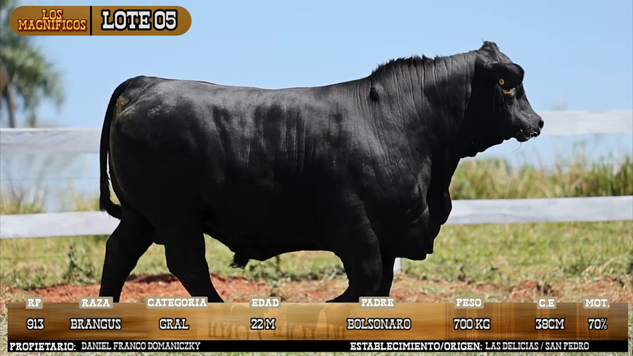Lote LOTE 5 - VIVO
