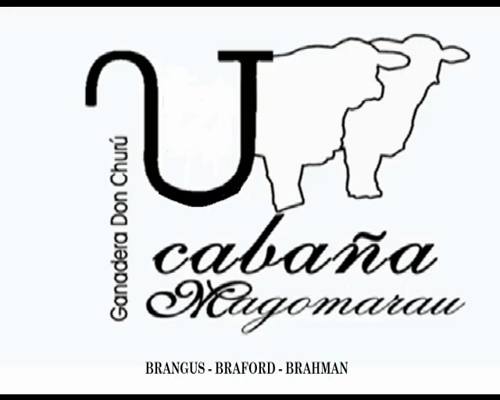 Lote CABAÑA "MAGOMARAU" 593