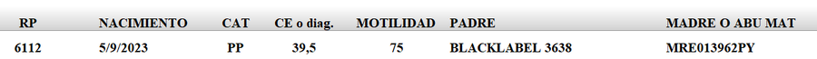 Lote LOTE 32