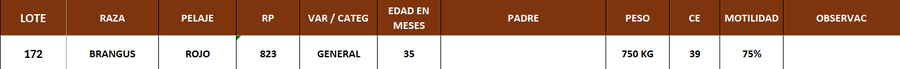 Lote LOTE 172