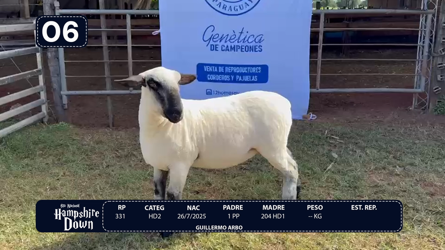 Lote LOTE 6