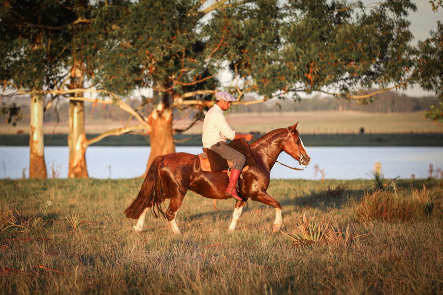 Lote Barahunda Del Chafalote