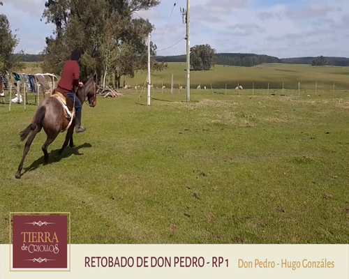 Lote Retobado De Don Pedro (RP 01) - Cabaña Don Pedro