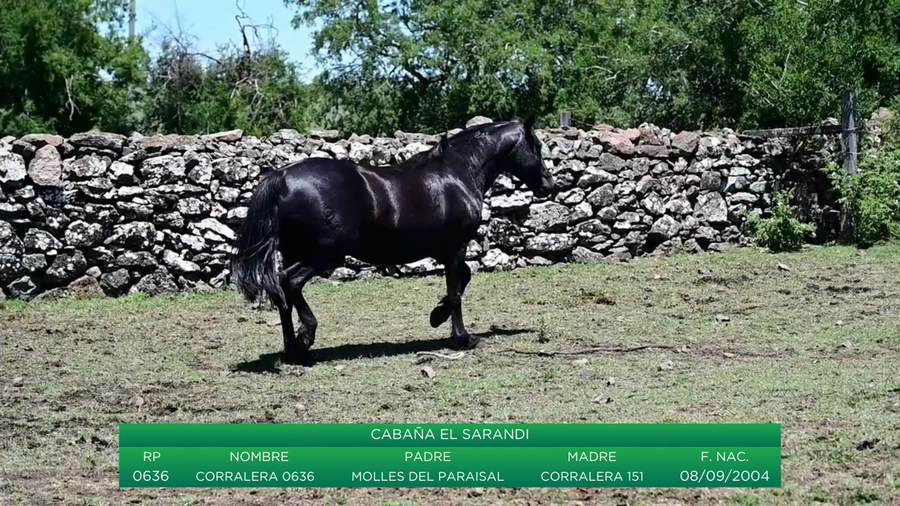 Lote Corralera 0636