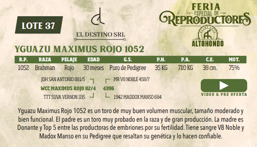 Lote LOTE 37