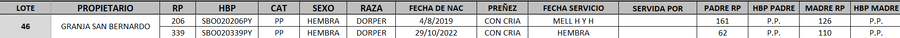 Lote LOTE 46