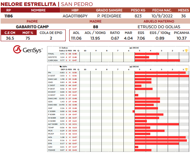 Lote LOTE 74