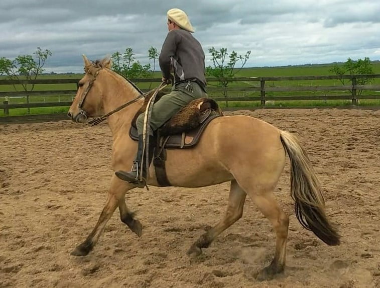 Lote Cabaña "La Cañada" - RP 306 - Cañada Harpia