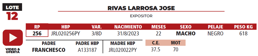 Lote LOTE 12