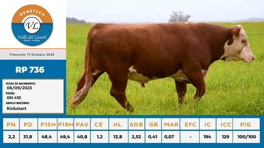 Lote 5 - Valle del Laurel