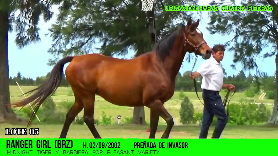 Lote RANGER GIRL