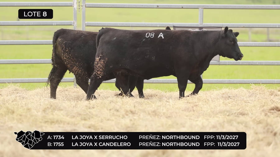 Lote Lote 08-B