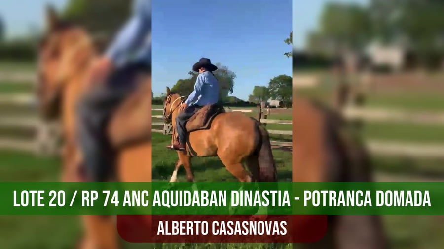 Lote ANC AQUIDABAN DINASTIA