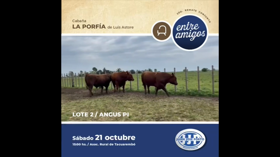 Lote Cabaña La Porfia