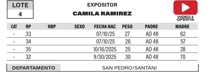 Lote LOTE 4- POR PANTALLA