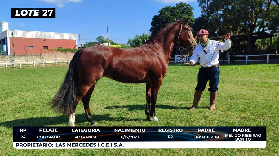 Lote LOTE 27- DE BOZAL