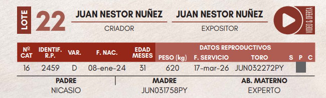 Lote LOTE 22 - VAQUILLAS DE CAMPO