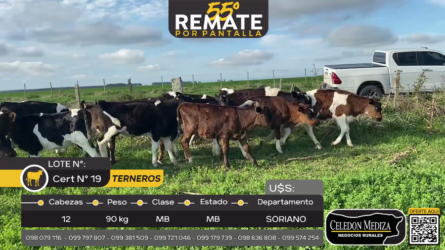 Lote 12 Terneros A 6 km de Egaña, Soriano