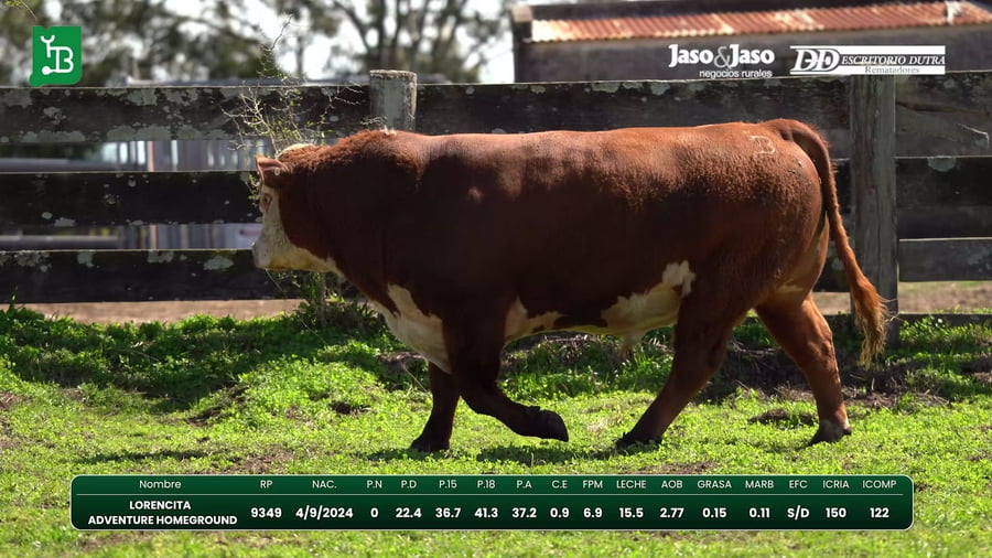 Lote Del Este / Cabaña La Lorencita